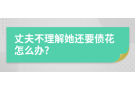 凤县凤县的要账公司在催收过程中的策略和技巧有哪些？