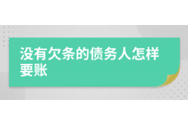 凤县为什么选择专业追讨公司来处理您的债务纠纷？